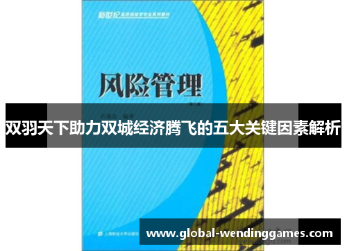 双羽天下助力双城经济腾飞的五大关键因素解析