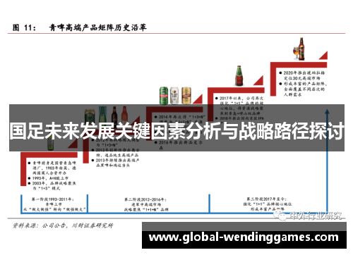 国足未来发展关键因素分析与战略路径探讨