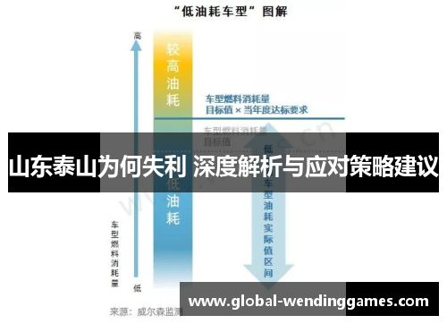 山东泰山为何失利 深度解析与应对策略建议