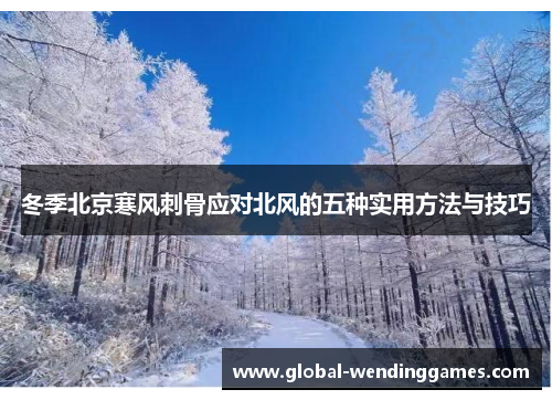 冬季北京寒风刺骨应对北风的五种实用方法与技巧