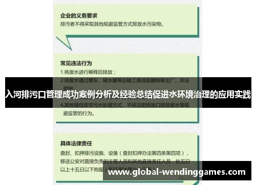入河排污口管理成功案例分析及经验总结促进水环境治理的应用实践
