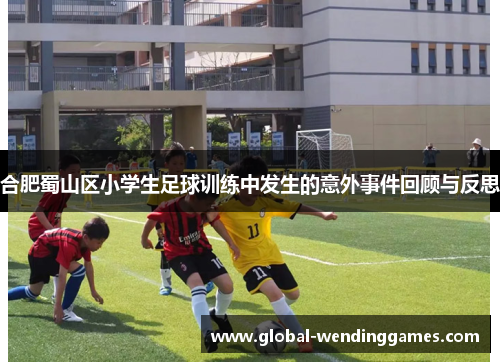 合肥蜀山区小学生足球训练中发生的意外事件回顾与反思