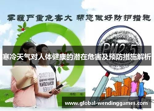 寒冷天气对人体健康的潜在危害及预防措施解析