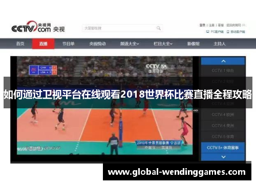 如何通过卫视平台在线观看2018世界杯比赛直播全程攻略