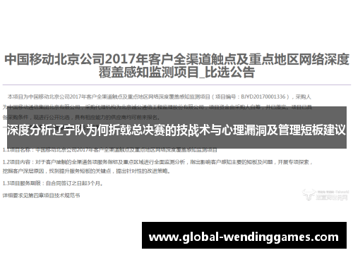 深度分析辽宁队为何折戟总决赛的技战术与心理漏洞及管理短板建议