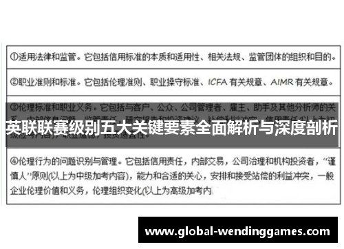 英联联赛级别五大关键要素全面解析与深度剖析