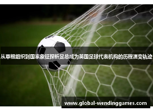 从草根组织到国家象征探析足总成为英国足球代表机构的历程演变轨迹