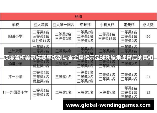 深度解析美冠杯赛事级别与含金量揭示足球劲旅角逐背后的真相