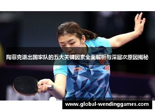 陶菲克退出国家队的五大关键因素全面解析与深层次原因揭秘