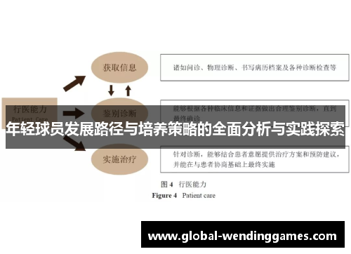 年轻球员发展路径与培养策略的全面分析与实践探索