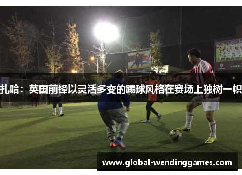 扎哈：英国前锋以灵活多变的踢球风格在赛场上独树一帜