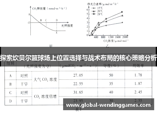 探索坎贝尔篮球场上位置选择与战术布局的核心策略分析